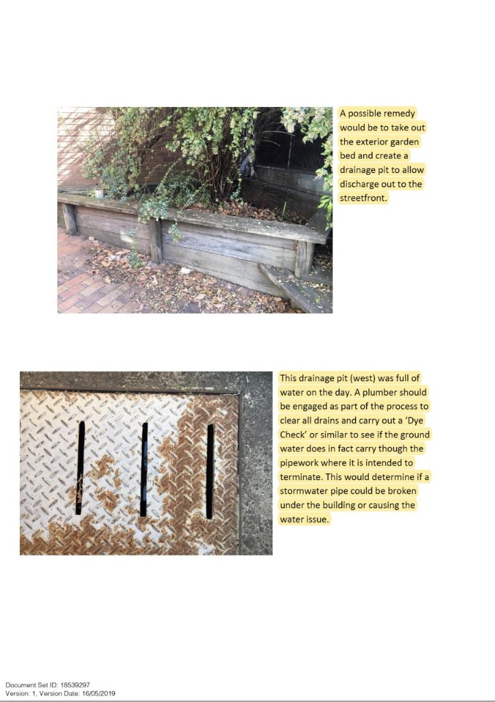 2019 technical report photographs of exterior garden bed and west drainage pit full of water