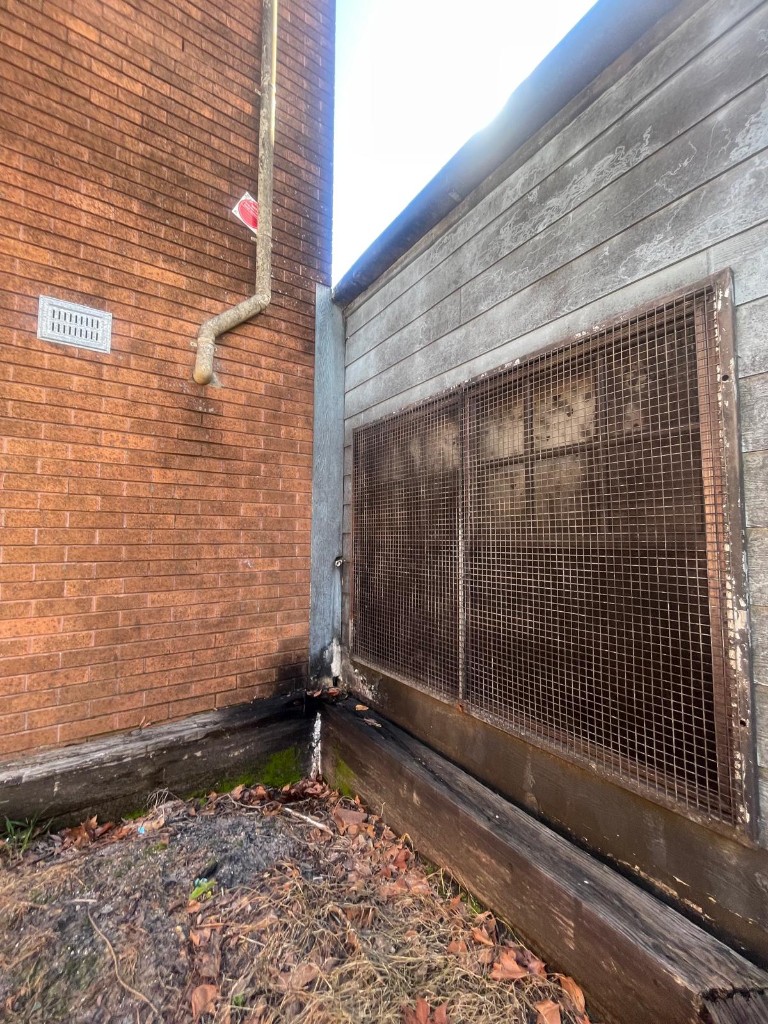 Photograph of water pooling at the junction between the main hall and Youth Centre building